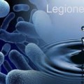 Legionella 1